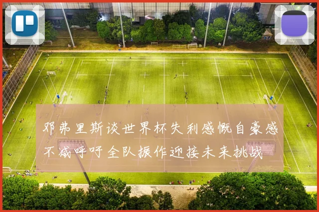 邓弗里斯谈世界杯失利感慨自豪感不减呼吁全队振作迎接未来挑战