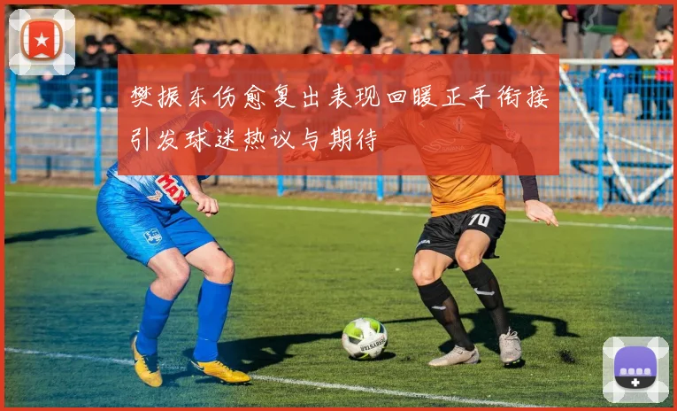 樊振东伤愈复出表现回暖正手衔接引发球迷热议与期待